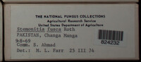 Image Associated With the Occurence